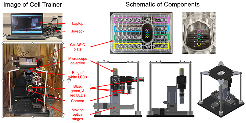 Schematic