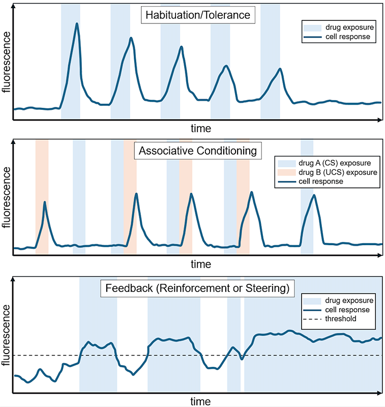 Types of Training
